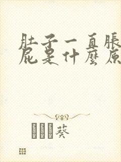 肚子一直胀气放屁是什么原因