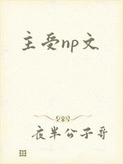 主受np文封面