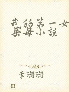 我的第一女人是岳母小说封面