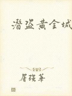 潜盗黄金城封面