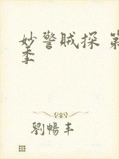 妙警贼探 第六季
