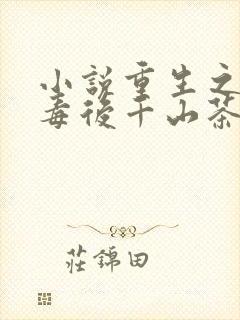 小说重生之将门毒后千山茶客手机版封面