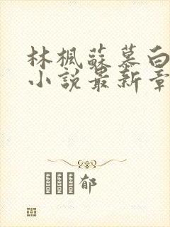 林枫苏慕白穿越小说最新章节更新完了吗