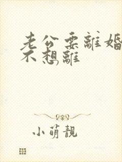 老公要离婚 我不想离