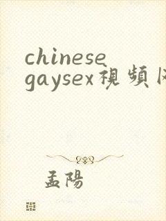 chinesegaysex视频网站