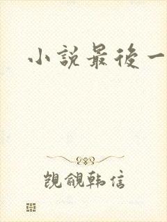 小说最后一百天封面