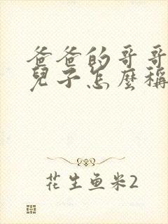 爸爸的哥哥家的儿子怎么称呼