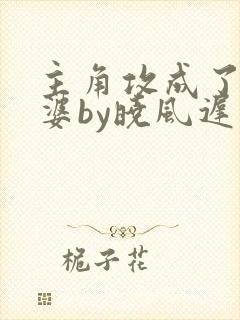 主角攻成了我老婆by晓风迟免费阅读