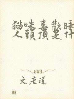 猫咪喜欢睡在主人头顶是什么意思