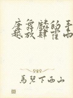 唐舞麟的手越来越放肆霍雨浩小说封面