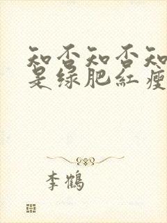 知否知否知否应是绿肥红瘦讲的是什么