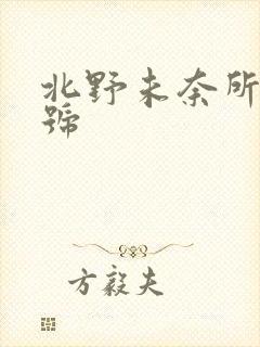 北野未奈所有番号