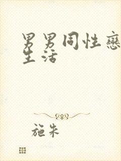 男男同性恋的性生活