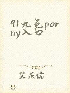 91九色porny入口