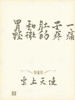 胃和肚子一直有轻微的疼痛感