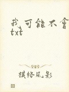 我可能不会爱你txt封面