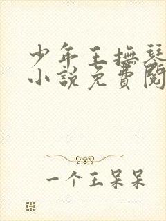 少年王抚琴的人小说免费阅读txt下载