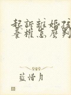 起诉离婚孩子抚养权怎么判决