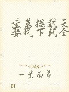 亿万总裁天天想娶我下载全本txt