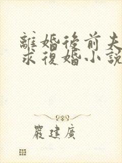 离婚后前夫哭着求复婚小说全文免费