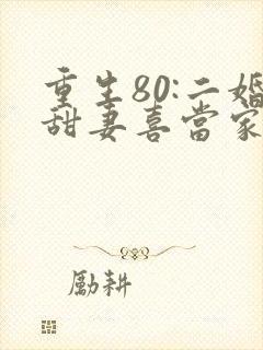 重生80:二婚甜妻喜当家