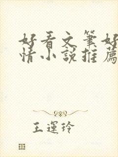 好看文笔好的言情小说推荐封面