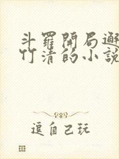 斗罗开局邂逅朱竹清的小说