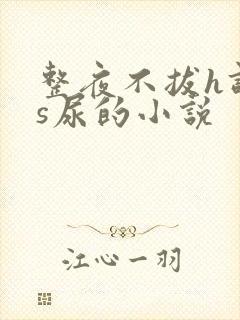 整夜不拔h调教s尿的小说