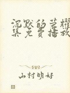 沉默的荣耀32集免费播放