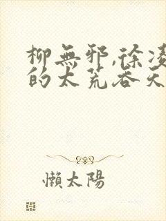 柳无邪,徐凌雪的太荒吞天诀封面