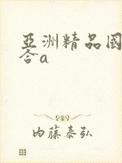 亚洲精品国产综合a