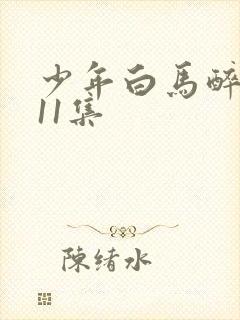 少年白马醉春风11集