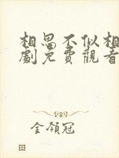 相思不似相逢短剧免费观看封面