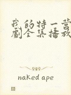 我的特一营电视剧全集播放封面