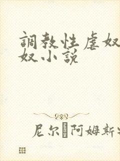 调教性虐奴警花奴小说封面