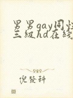 男男gay同性三级hd在线