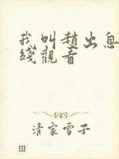 我叫赵出息 在线观看封面