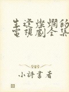 生逢灿烂的日子电视剧全集免费看封面