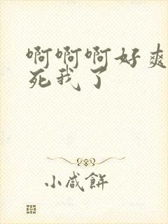 啊啊啊好爽啊操死我了封面