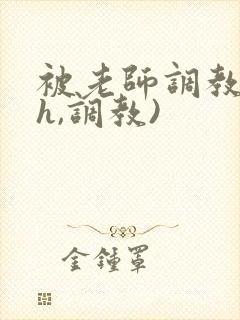 被老师调教(高h,调教)