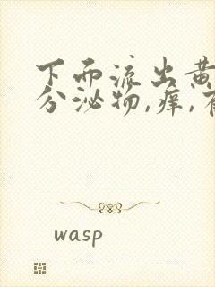 下面流出黄绿色分泌物,痒,有异味