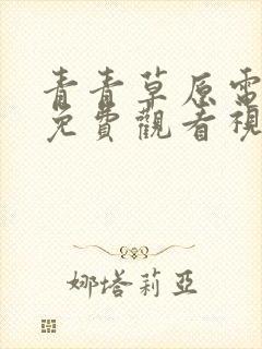 青青草原电视剧免费观看视频