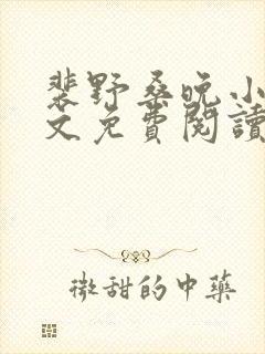 裴野桑晚小说全文免费阅读最新章节