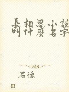 长相思小说原著叫什么名字