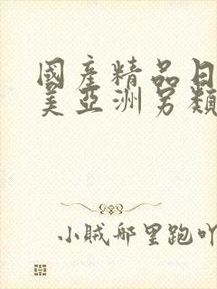 国产精品日韩欧美亚洲另类