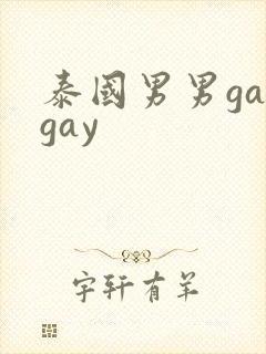 泰国男男gaygay封面
