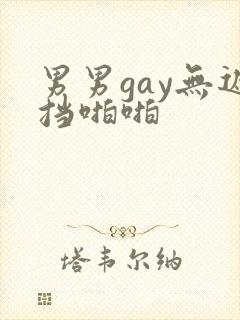 男男gay无遮挡啪啪