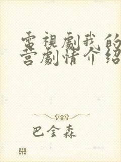 电视剧我的特一营剧情介绍封面