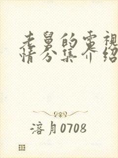 老舅的电视剧剧情分集介绍