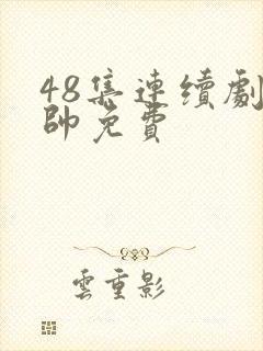 48集连续剧少帅免费